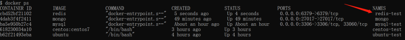 文件:Docker：安装Redis：查看容器的运行信息.png