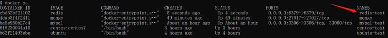 Docker：安装Redis：查看容器的运行信息.png