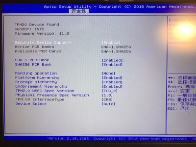BIOS：已启用TPM2.0.jpg